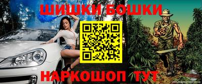 индика Будённовск