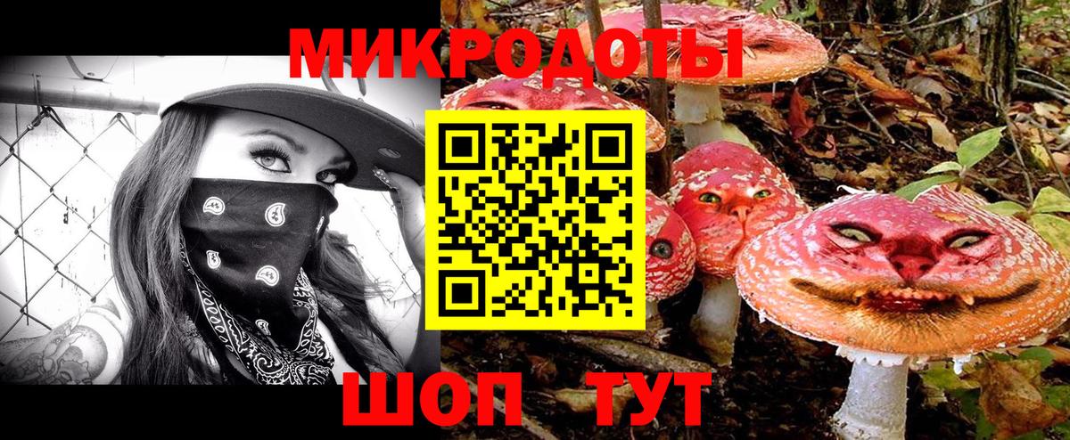 где можно купить   Вход с VPN  Арзамас  Галлюциногенные грибы Psilocybine cubensis  Псилоцибиновые грибы ЛСД 