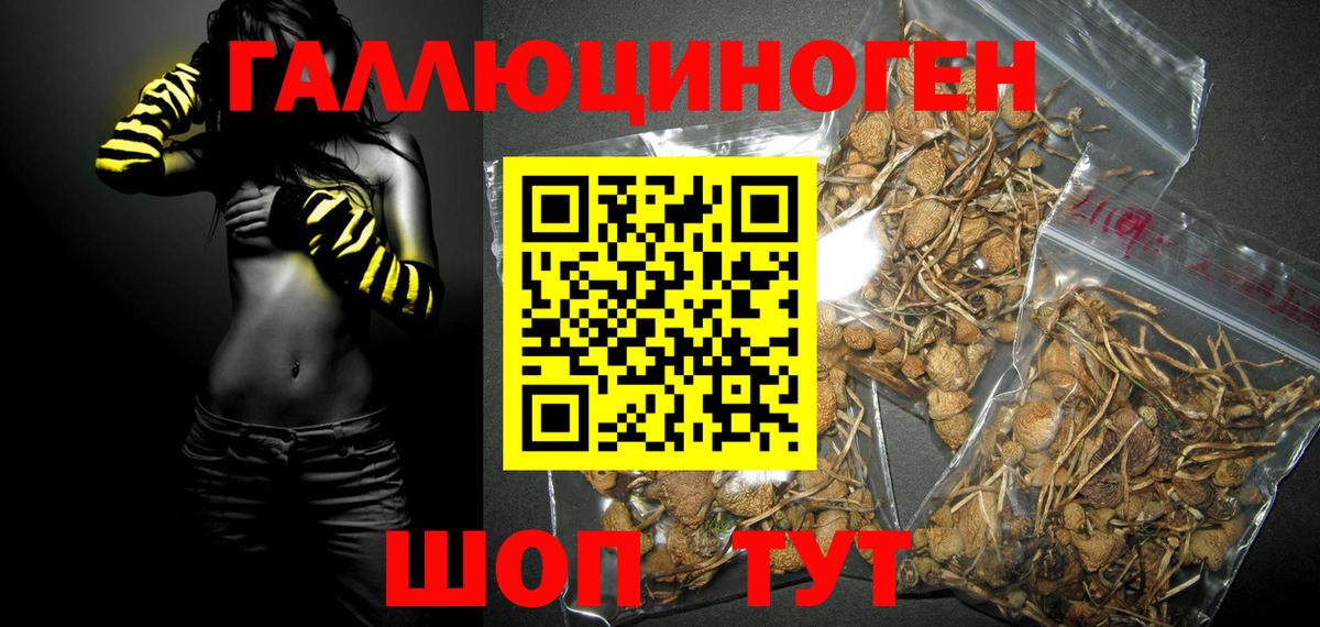 Галлюциногенные грибы мухоморы Арзамас